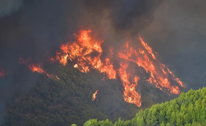 Συνεχείς αναζωπυρώσεις στην Ανατολική Μάνη - Καλύτερη η εικόνα στην Ηλεία - Παραμένει το μέτωπο της Αρκαδίας